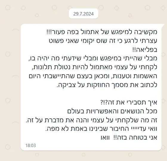 עדות בוואטסאפ: מקשיבה למפגש בפה פעור, בדיוק החלטתי להפסיק תלונות והאשמות, והנה דיברת על זה. ״החיבור שבינינו באמת לא מפה