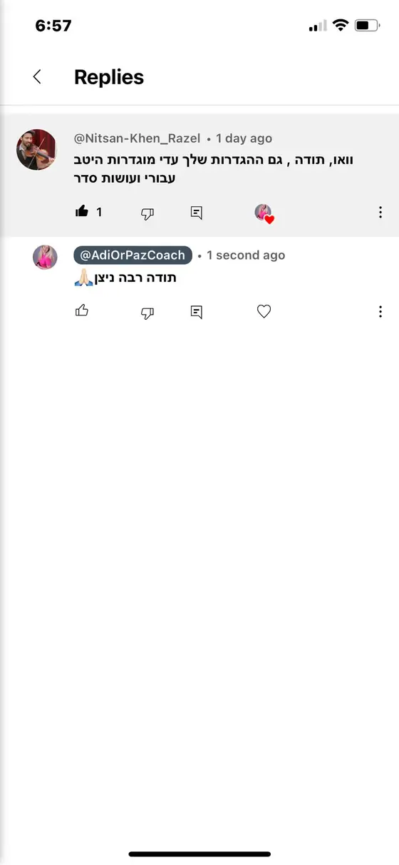 עדות: תגובה שמודה לעדי ומציינת שההגדרות שלה ״מוגדרות היטב עבורי ועושות סדר